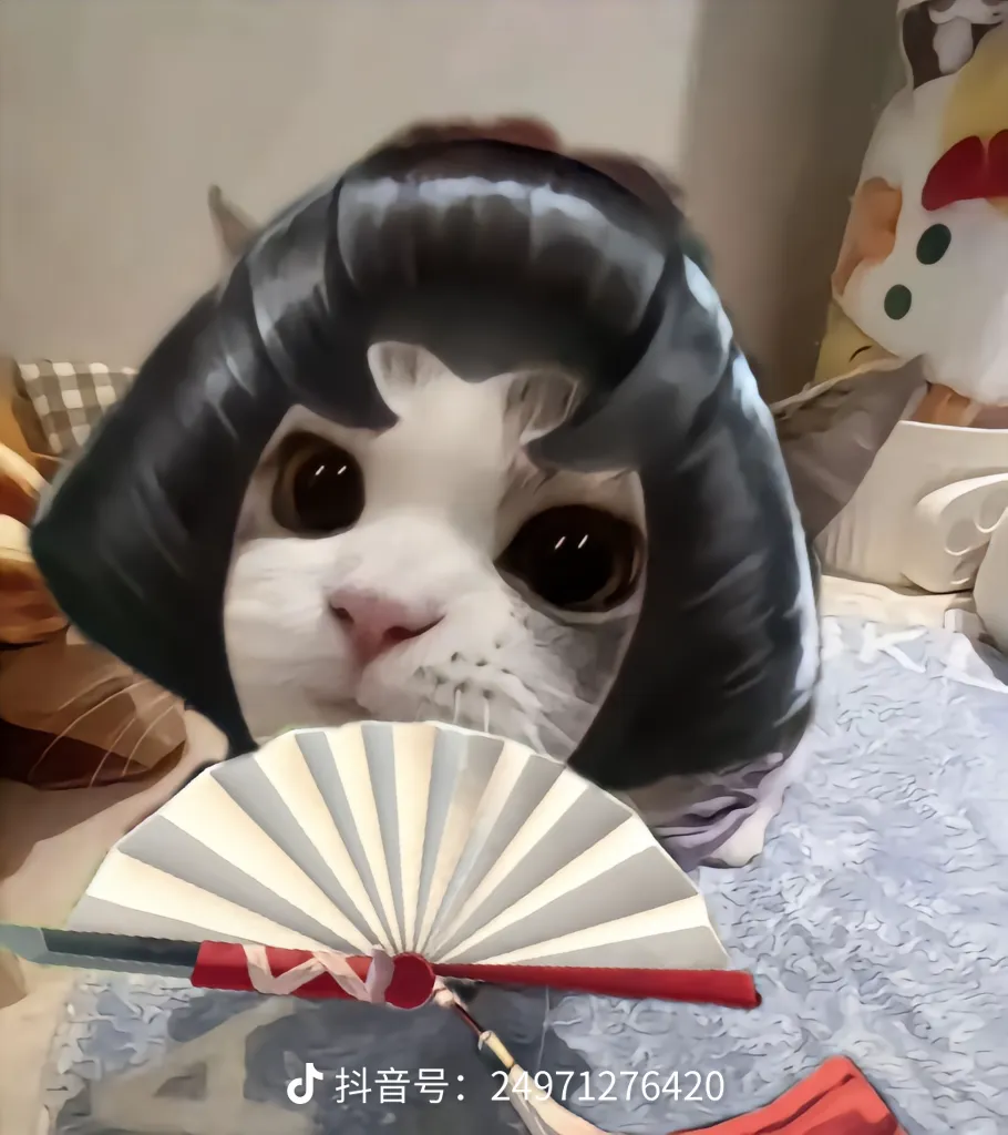 用户头像