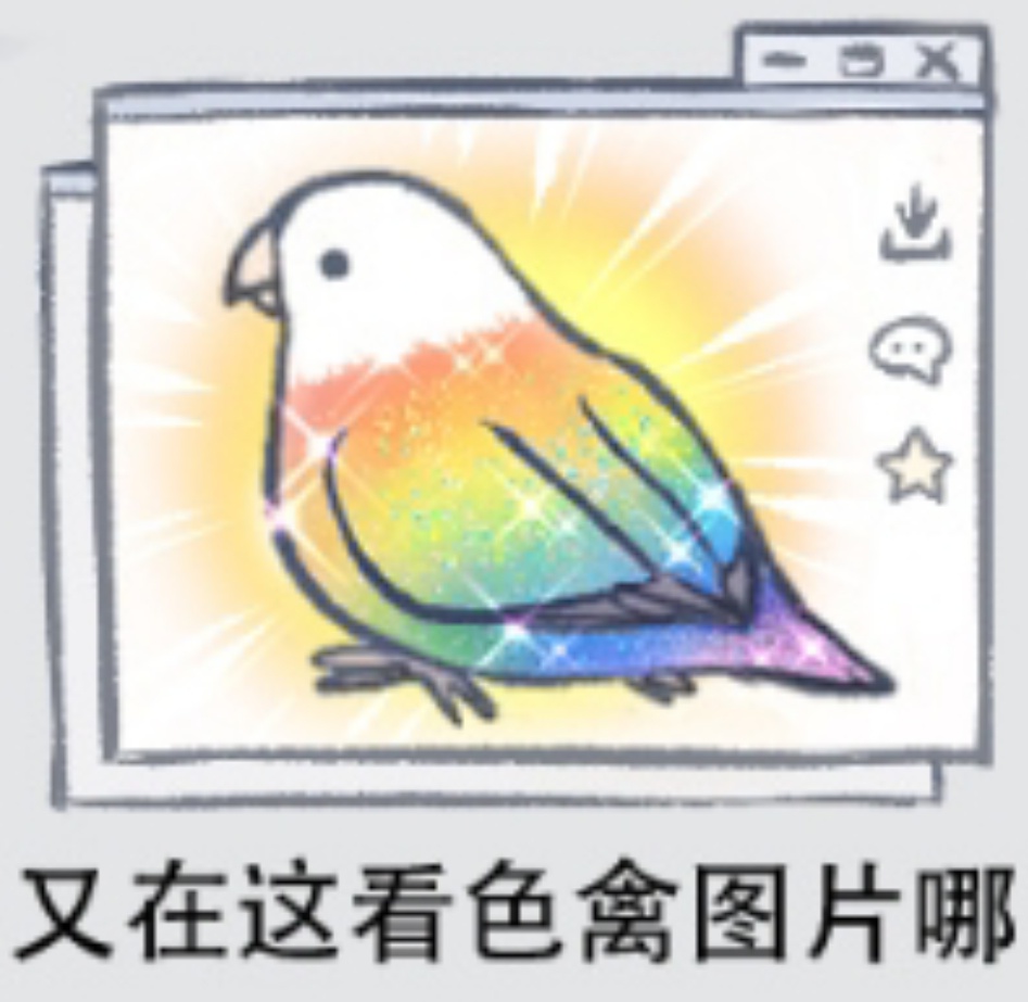 用户头像