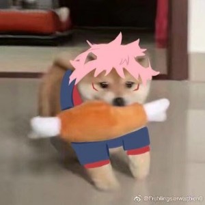 用户头像