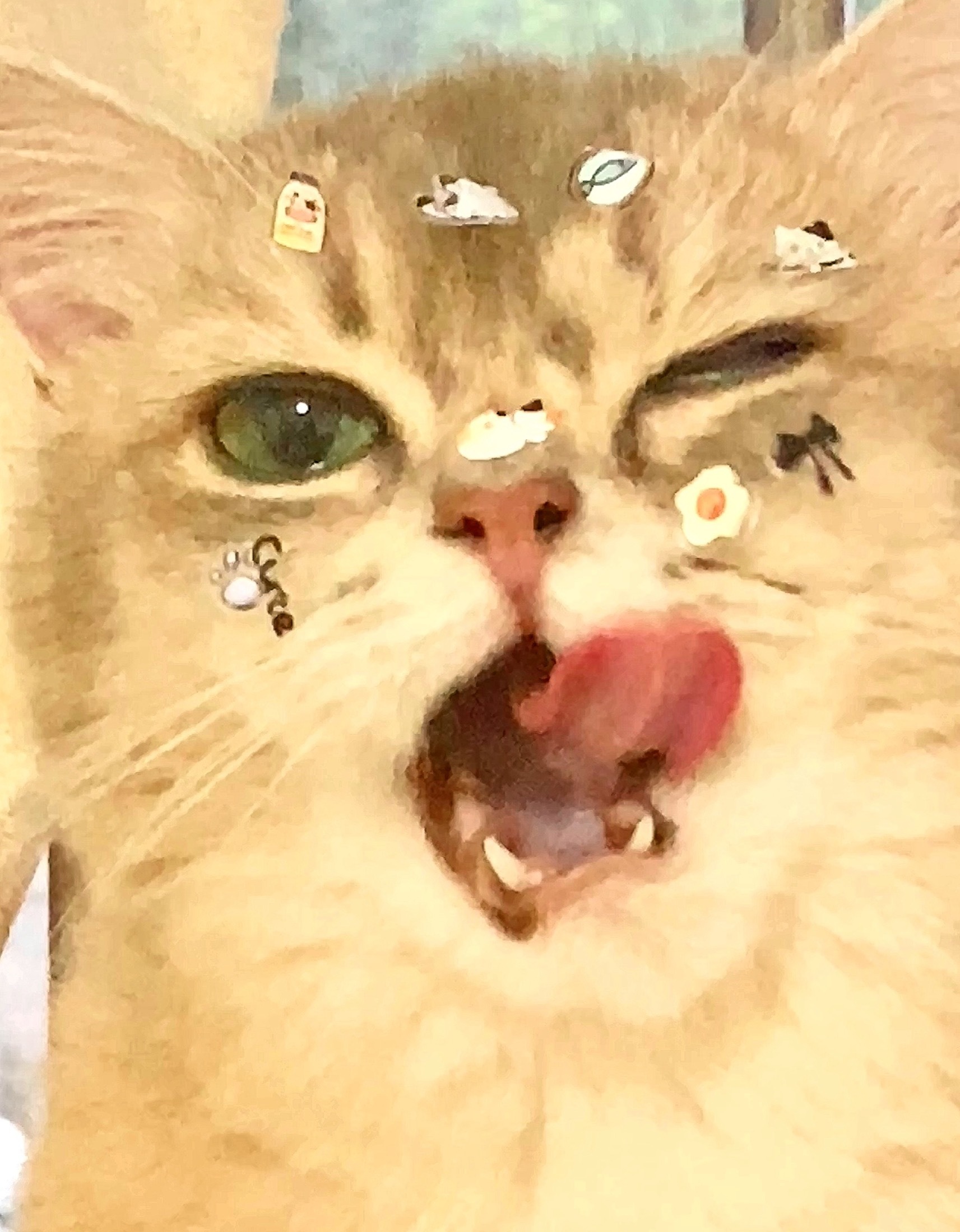 用户头像