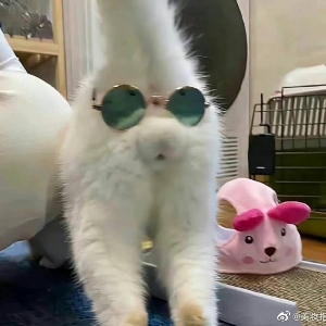 用户头像