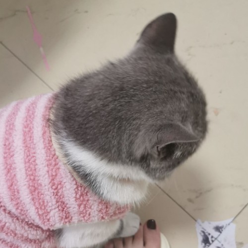 用户头像