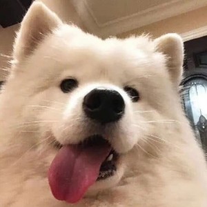 用户头像