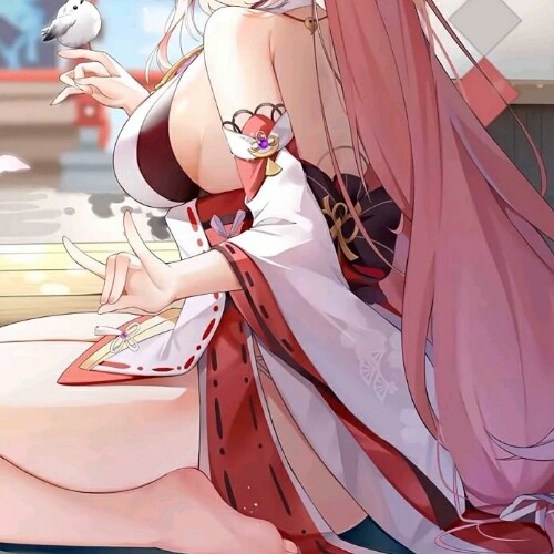 用户头像