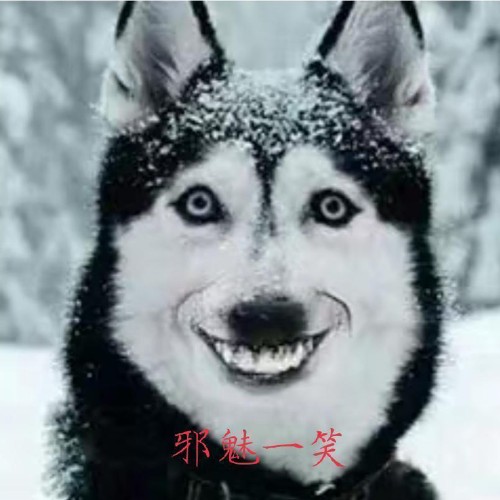 用户头像