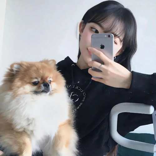用户头像