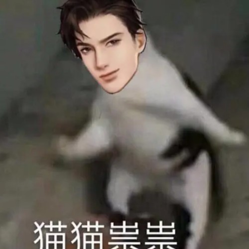 用户头像