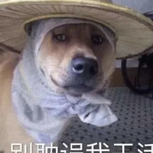 用户头像