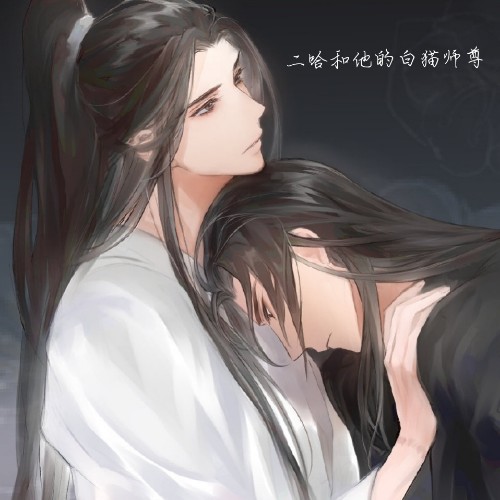 用户头像
