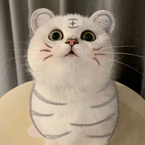 用户头像