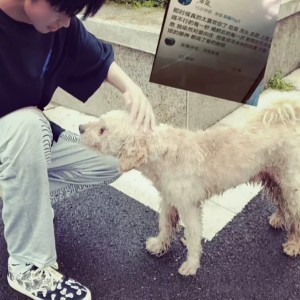 用户头像