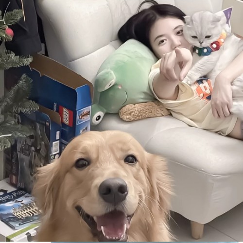 用户头像