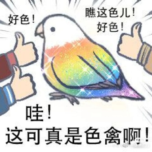 用户头像