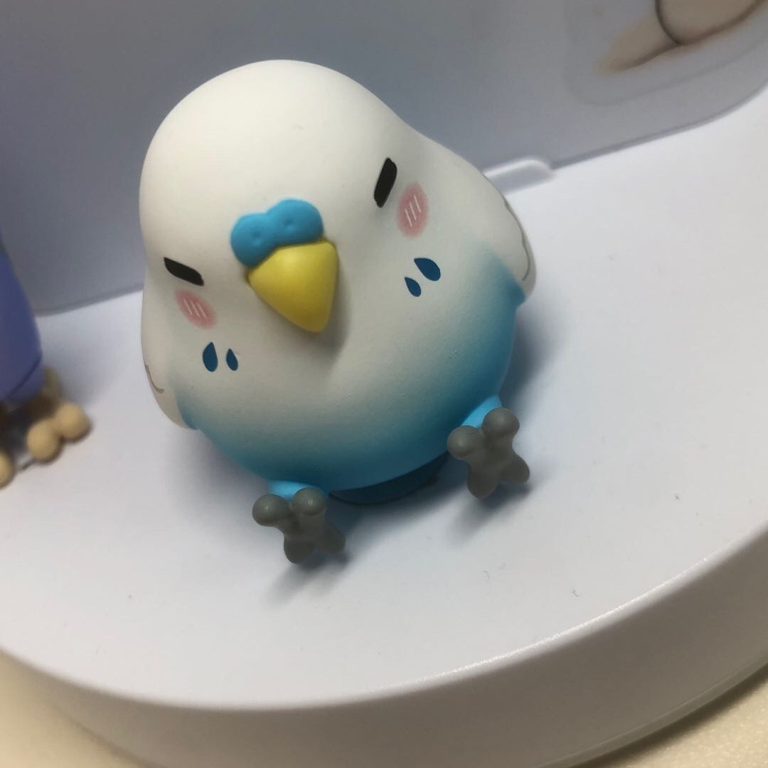 用户头像