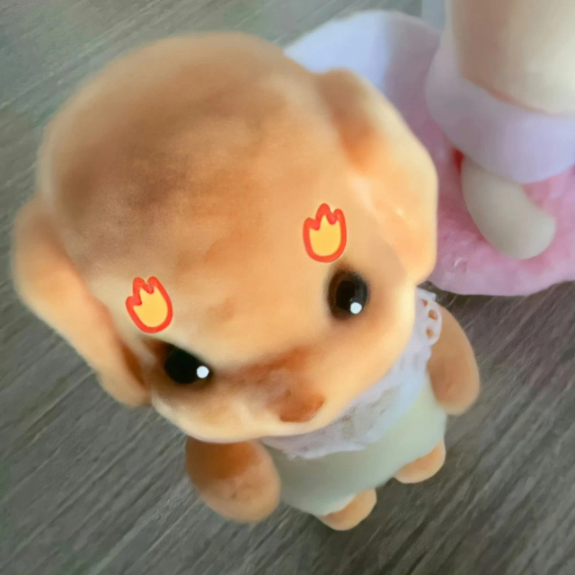 用户头像