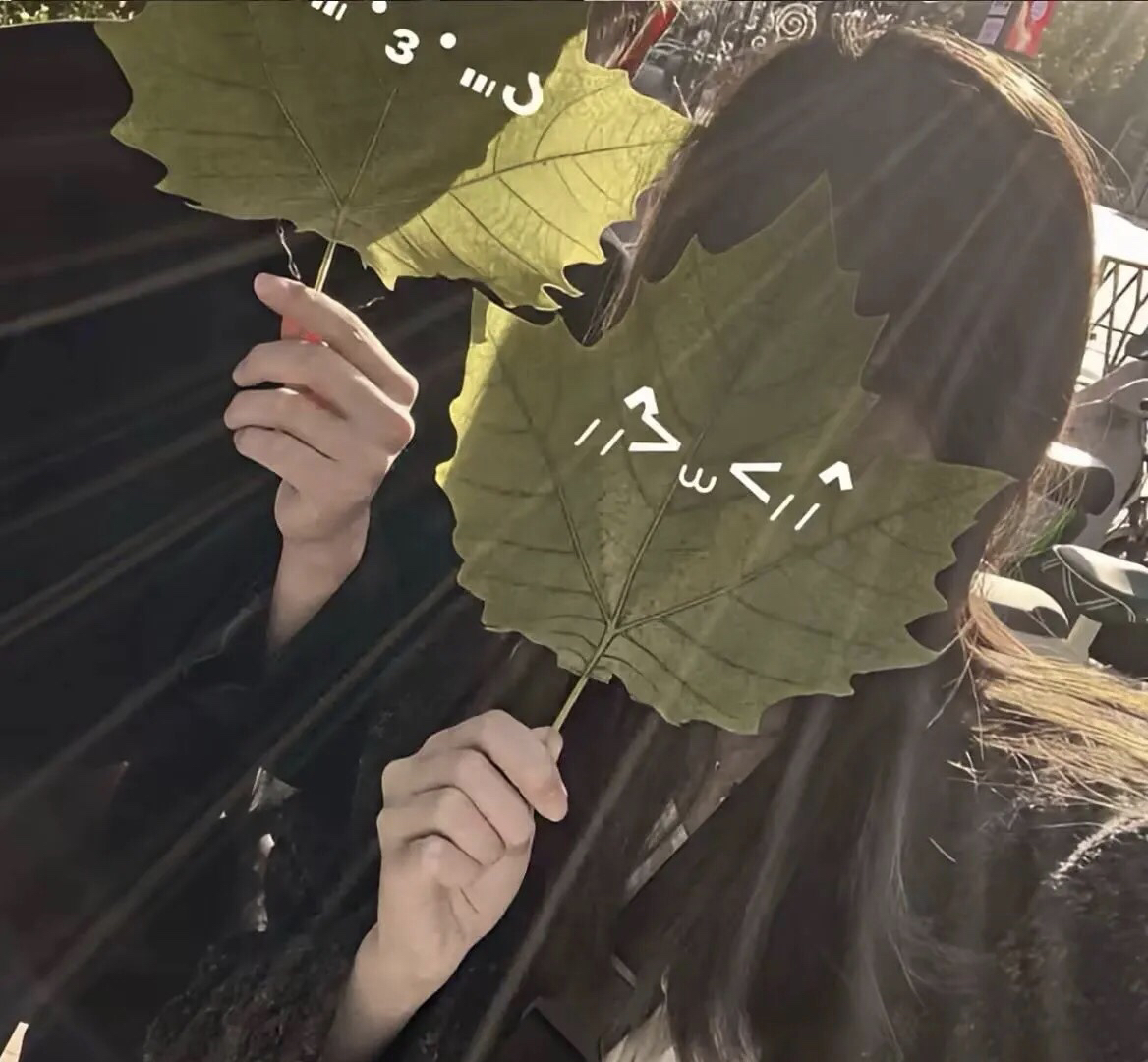 用户头像