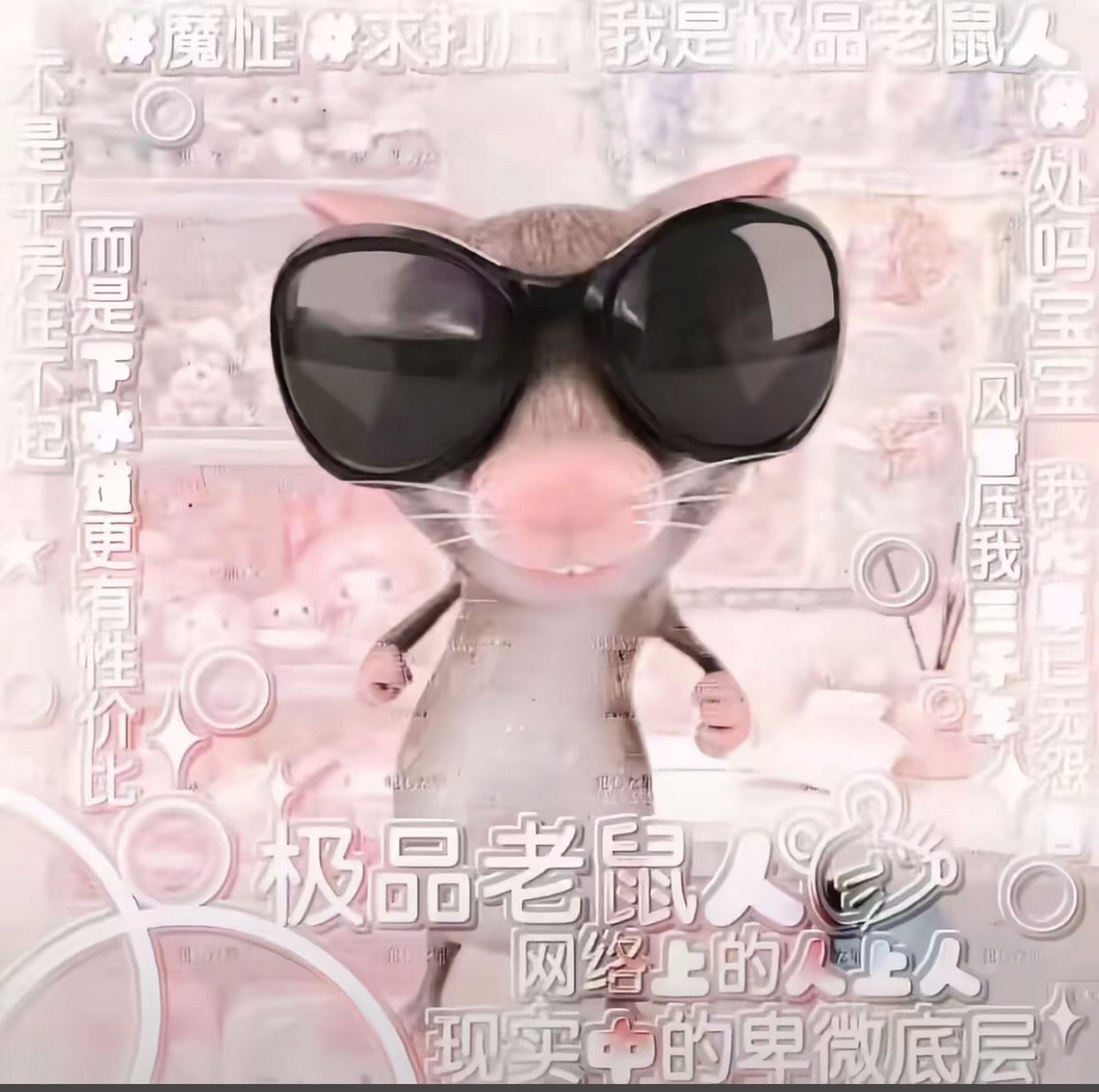 用户头像