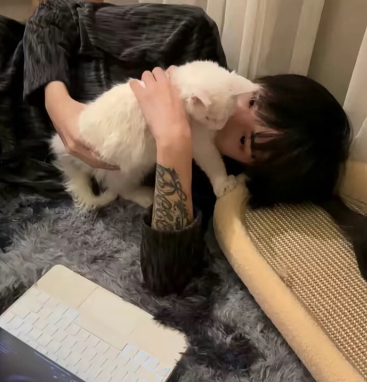 用户头像