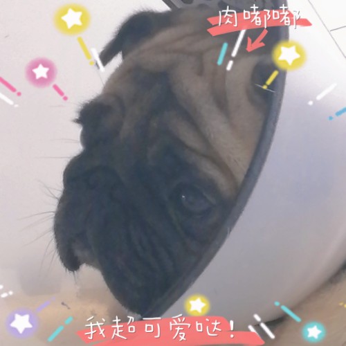 用户头像