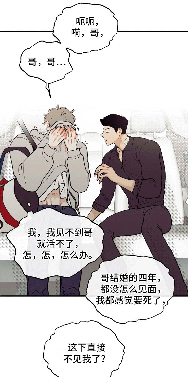 20.jpg